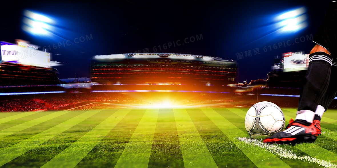 大谷翔平在 2024 年加盟道奇后，其爱犬“Decoy”的品种在北美搜索量翻了五倍